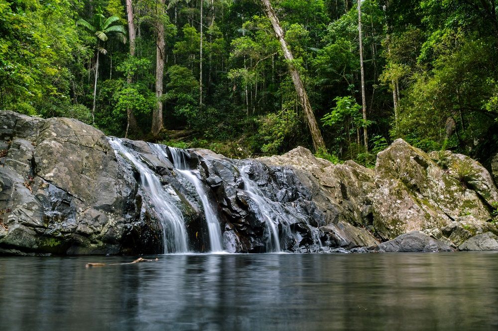 Cougal Cascades (image supplied)