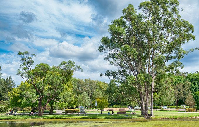 Gold Coast Regional Botanic Gardens, Benowa (image supplied)