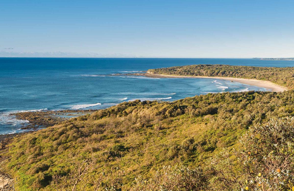 Angourie walking track, Yuraygir National Park (image supplied)