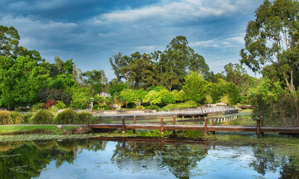 Gold Coast Botanic Gardens (image supplied)