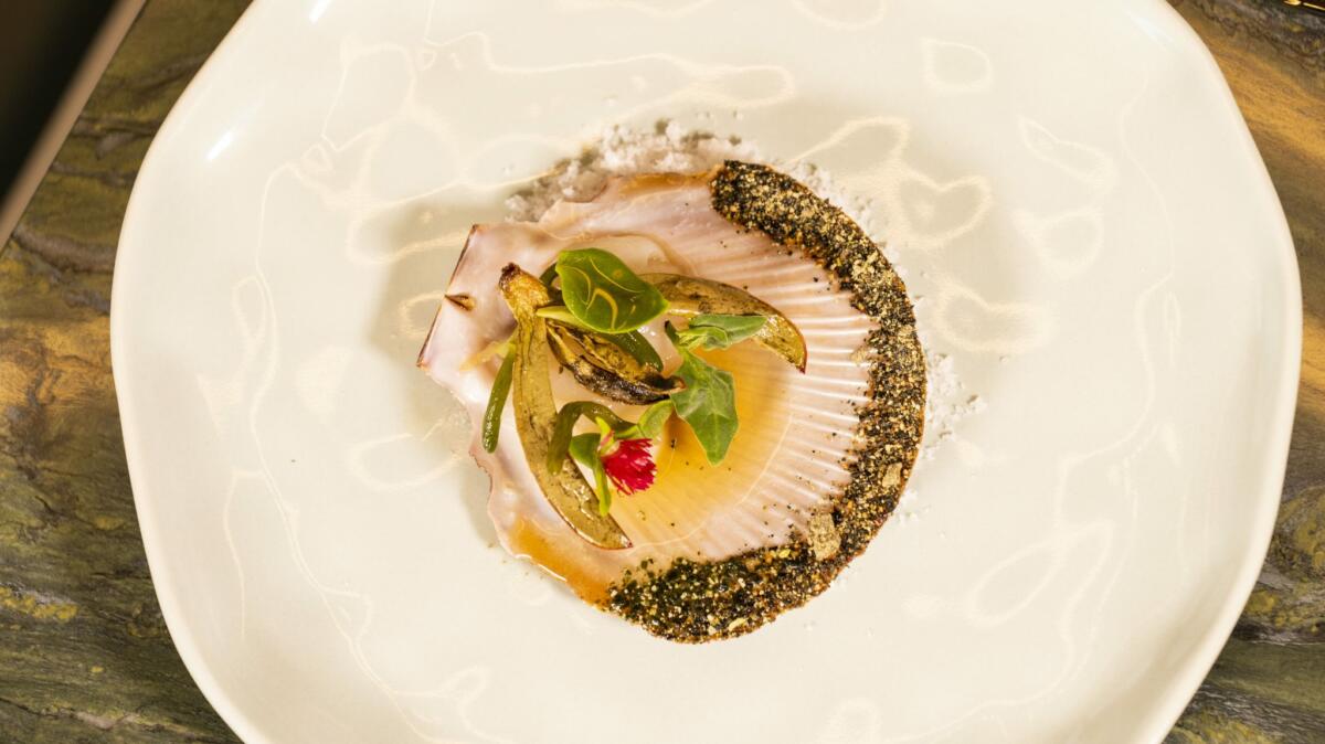 An entree dish at Palette, HOTA Gallery (image supplied)
