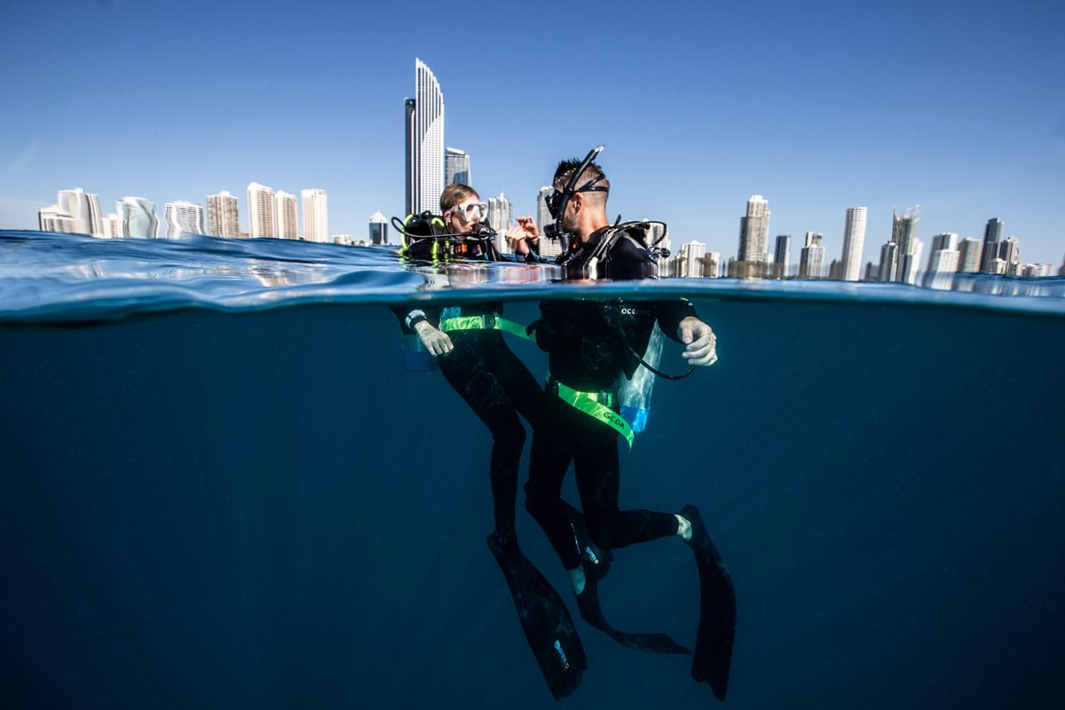 Gold Coast Dive Attraction (image courtesy of City of Gold Coast)
