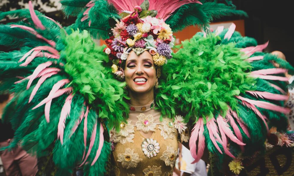 Brazilian Carnival – Bloco do Flamingo image