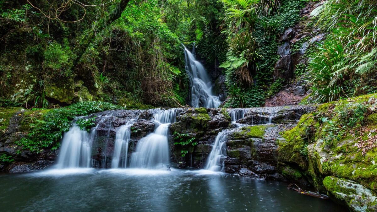 Elabana Falls in Lamington National Park (Image: Destination Gold Coast)