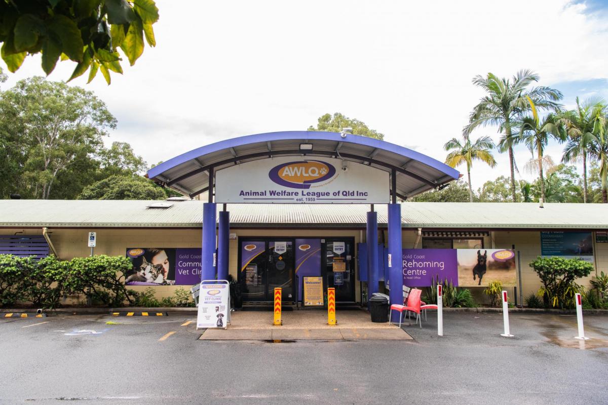 AWLQ Gold Coast Rehoming Centre (image supplied)