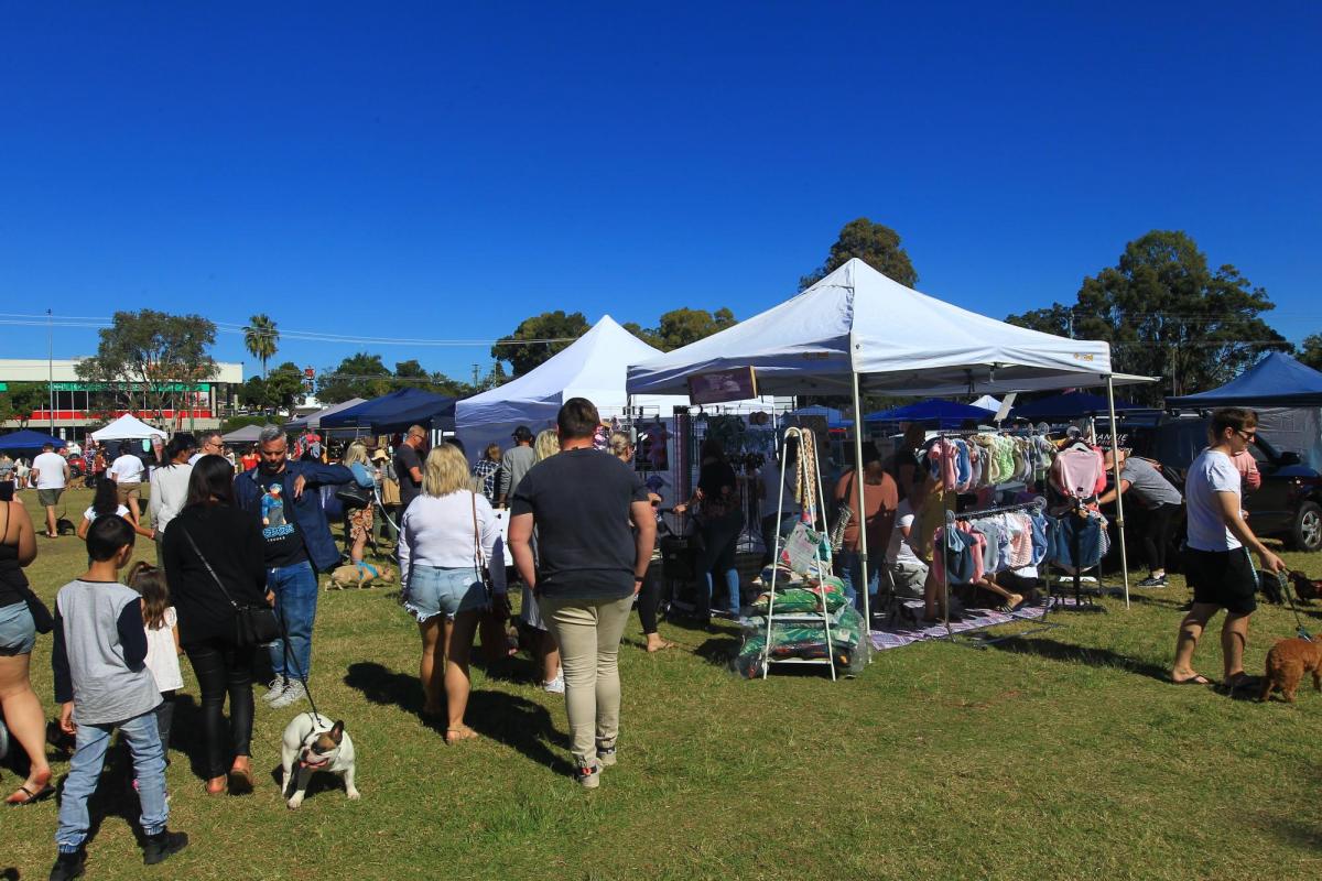 Dogs on the Green (image supplied)