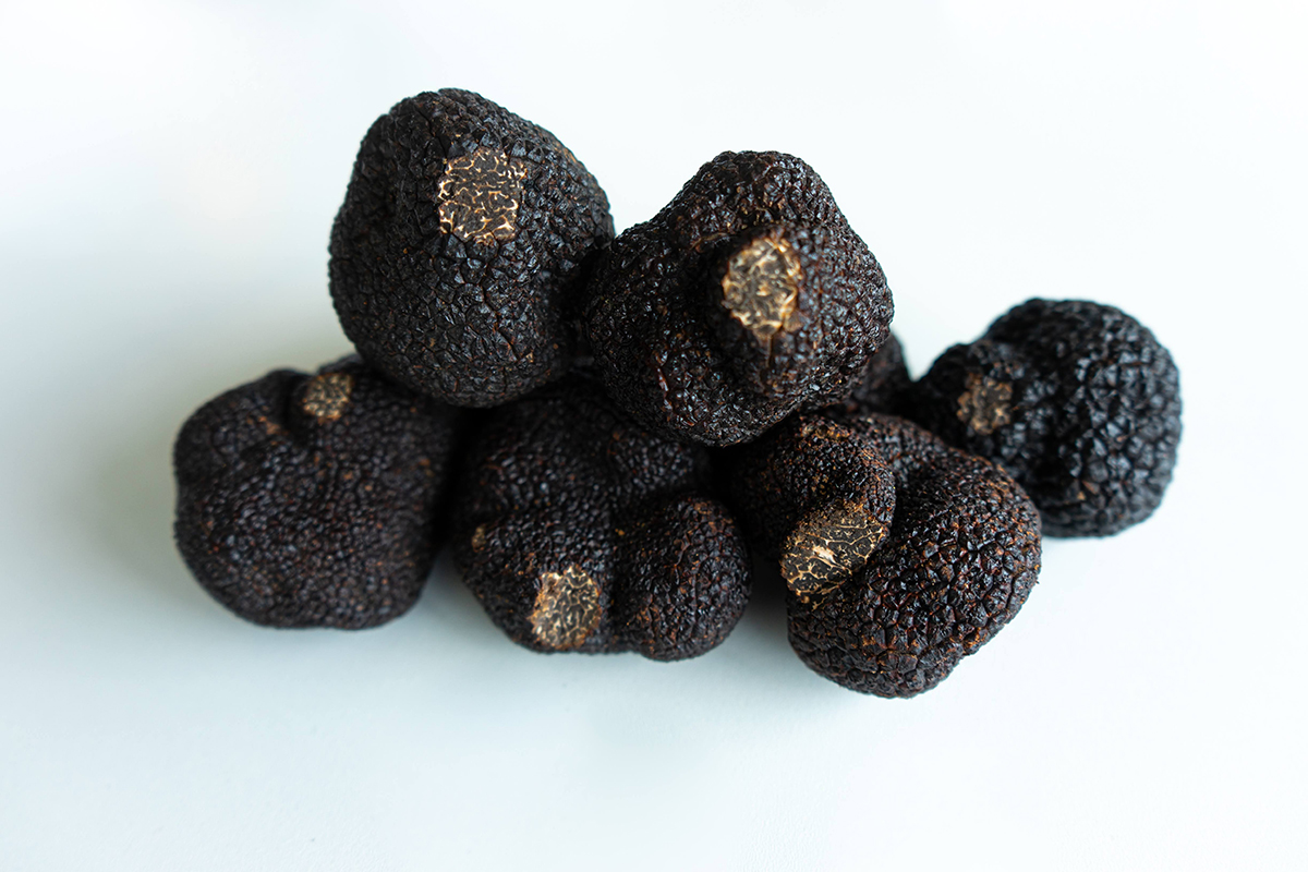 Black Truffles (image via Unsplash)