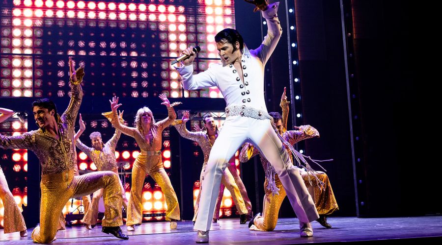 Elvis, A Musical Revolution (image by Ken Leanfore)