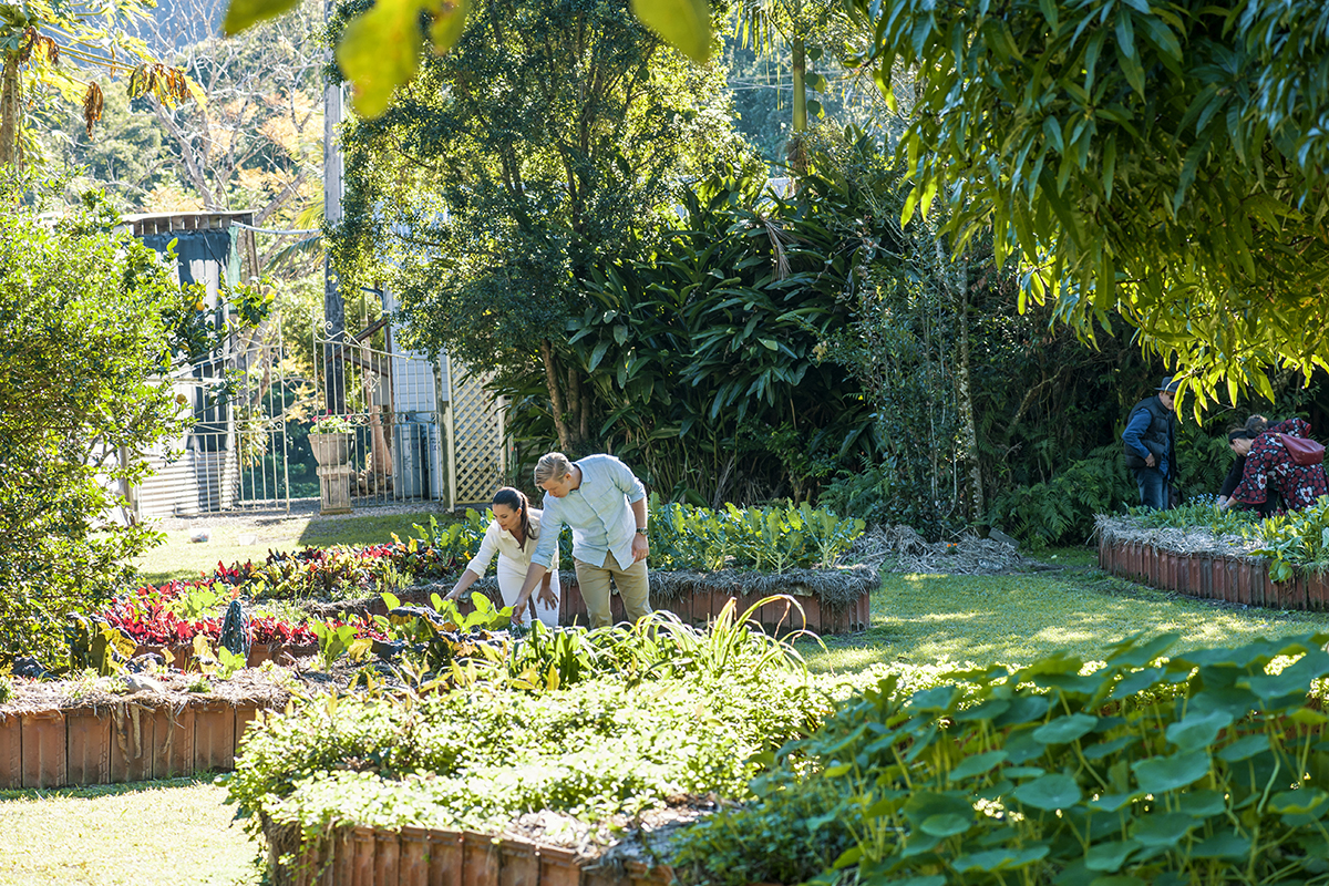 Couple looking through the organic produce grown in the garden at Mavis's Kitchen, Uki (image supplied by Destination NSW)