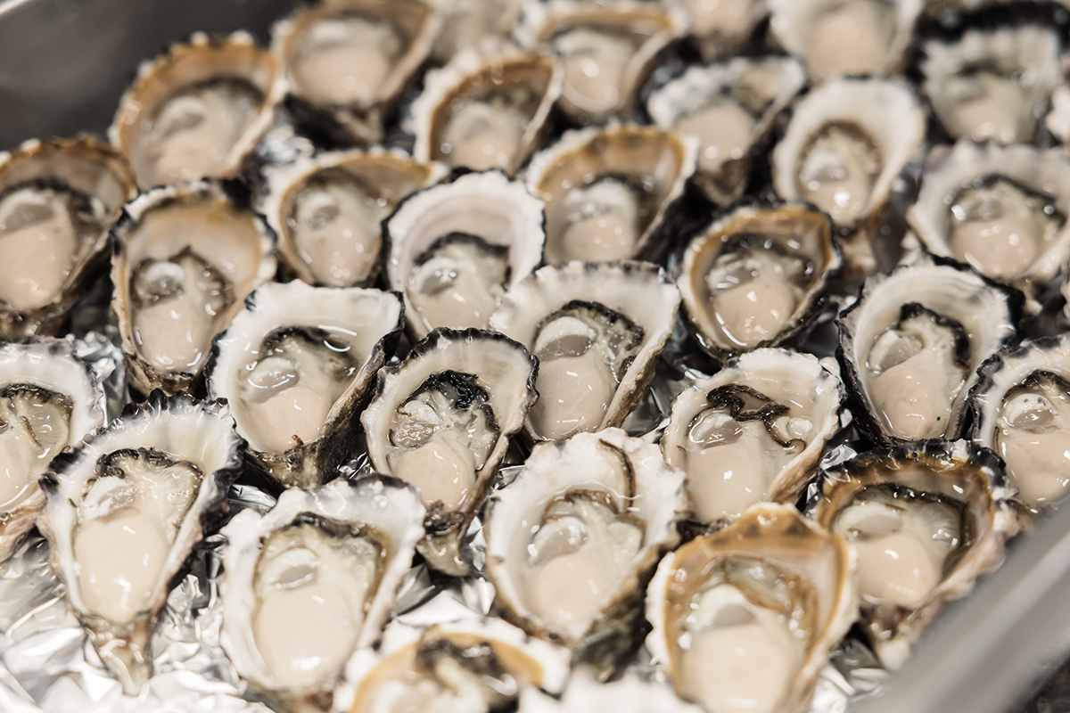 Oysters at Al Natural Oysters, Burleigh (Image: © 2024 Inside Gold Coast)
