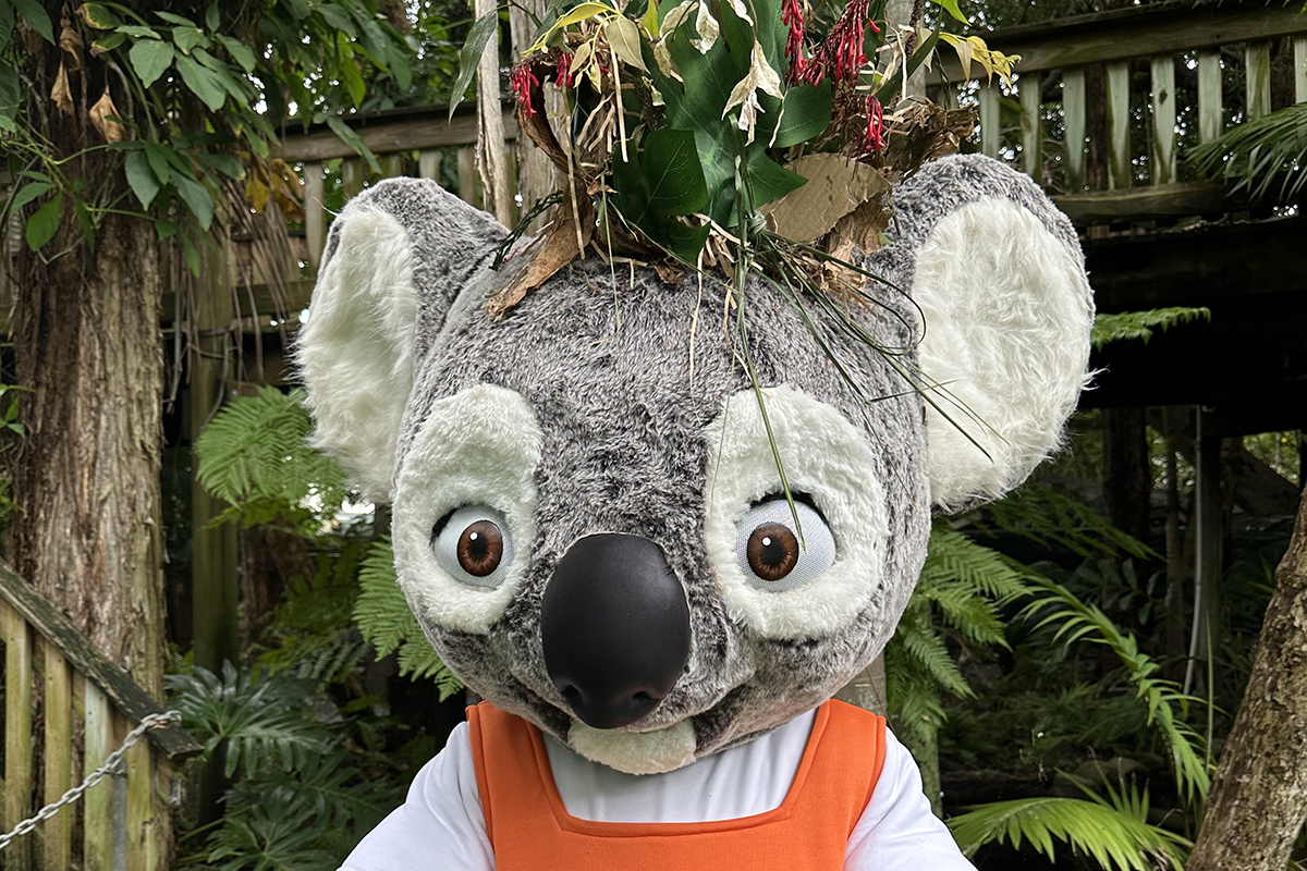 Nutsy and her Easter bonnet, Currumbin Wildlife Sanctuary (image supplied)