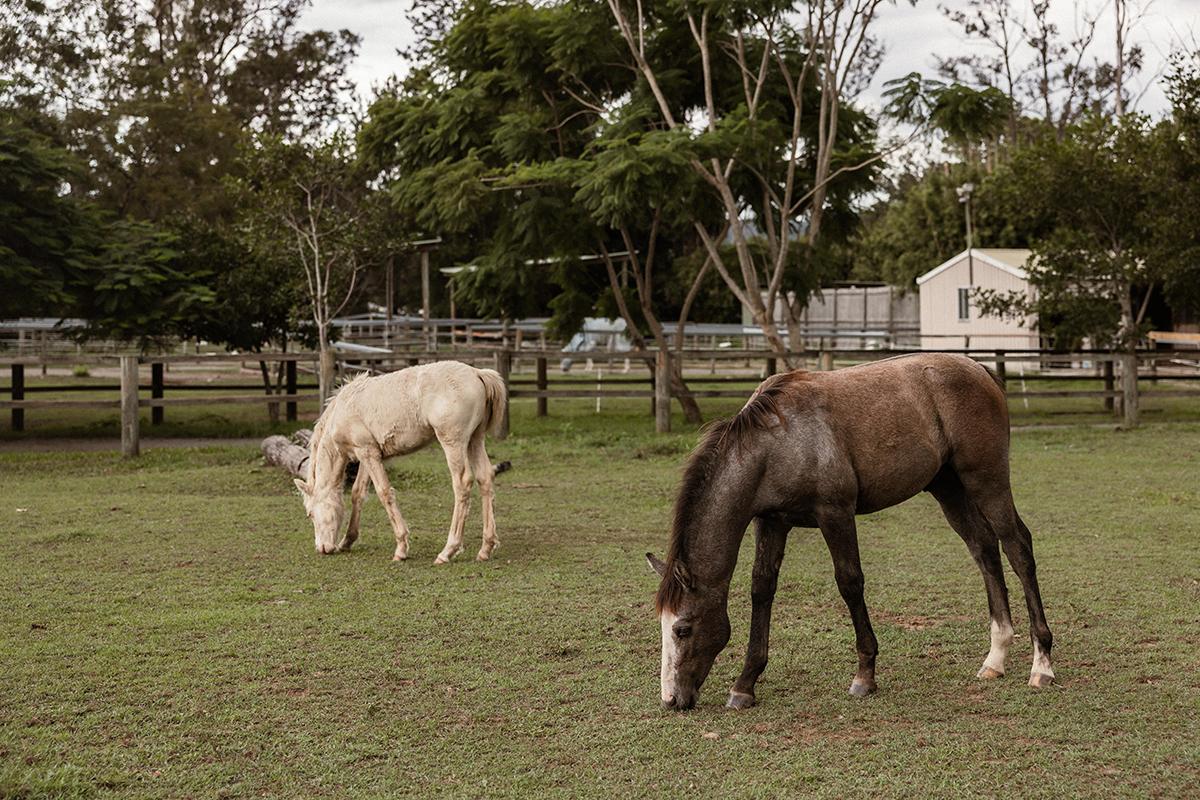Gold Coast Equestrian Centre (Image: © 2024 Inside Gold Coast)