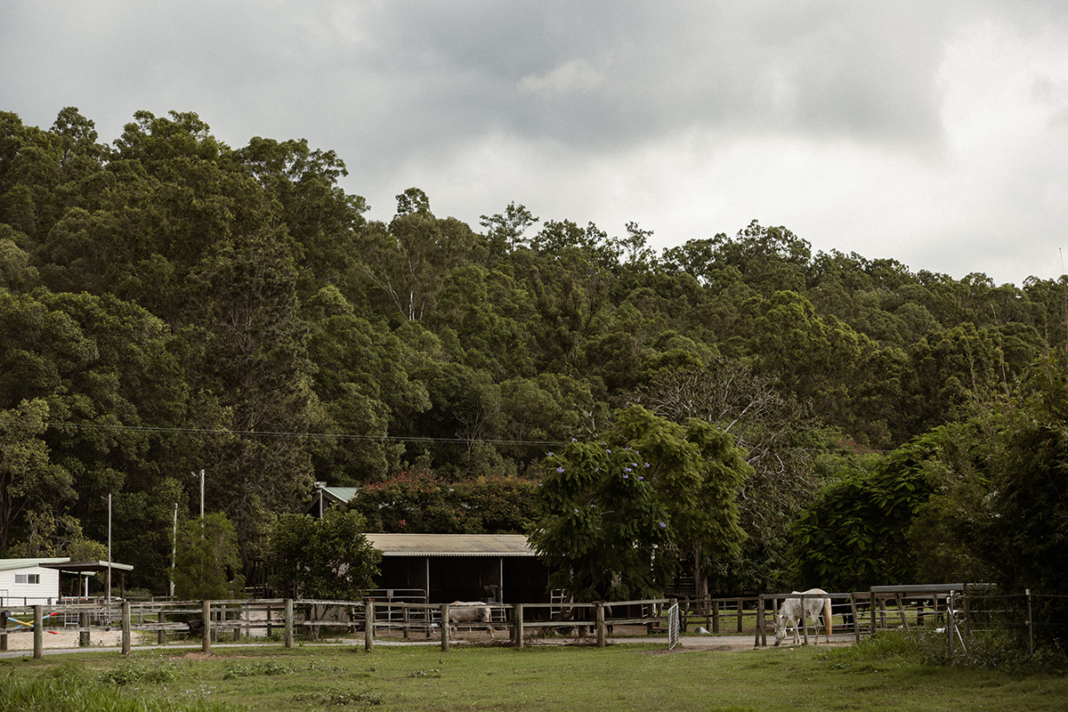 Gold Coast Equestrian Centre (Image: © 2024 Inside Gold Coast)