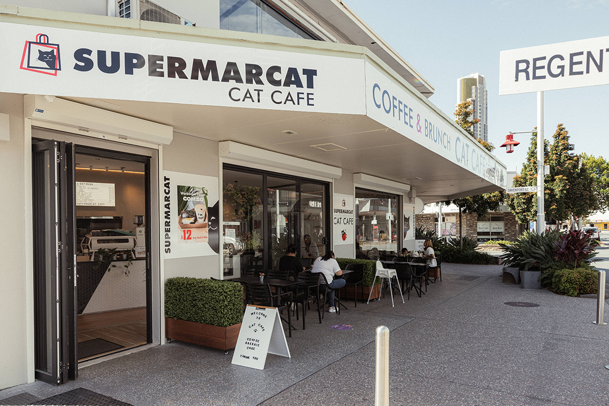 SupermarCat Cat Café, Southport (Image: © 2024 Inside Gold Coast)