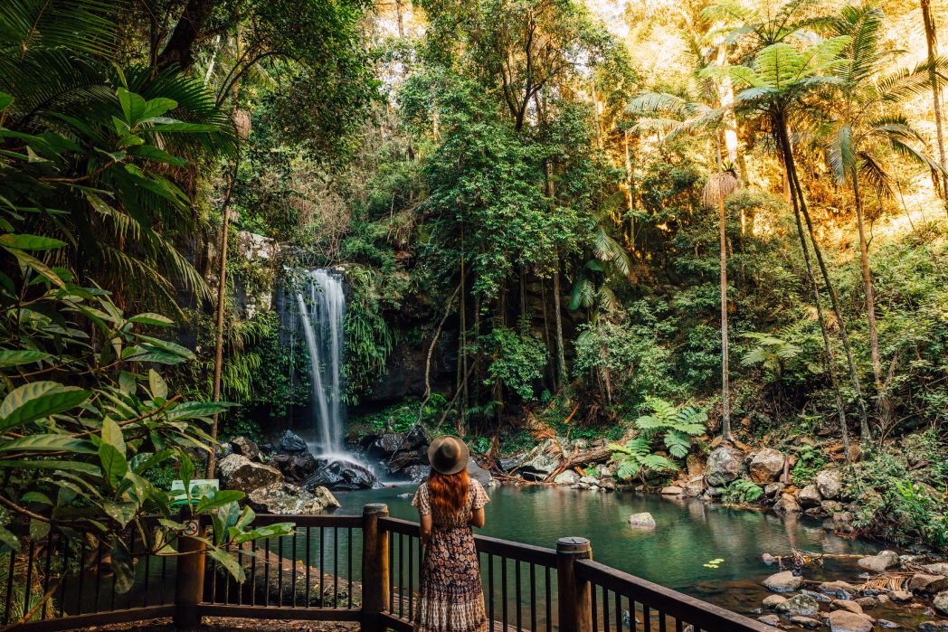 Curtis Falls (image supplied by Tourism & Events Queensland)