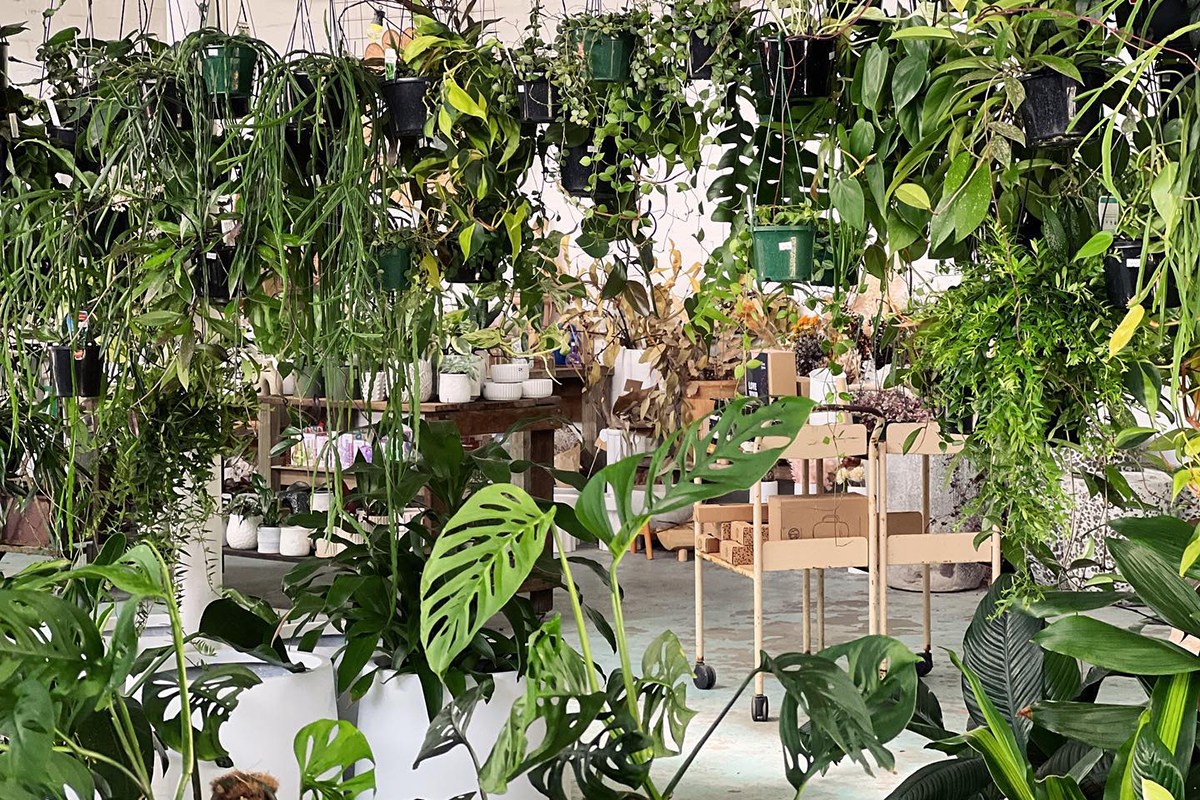 The Borrowed Nursery, Mermaid Beach (image supplied)