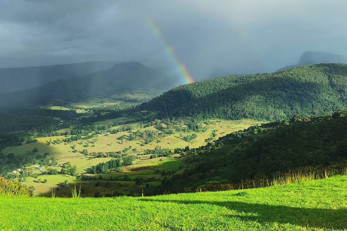 View from the Flying Bean Cafe, Beechmont (image supplied)
