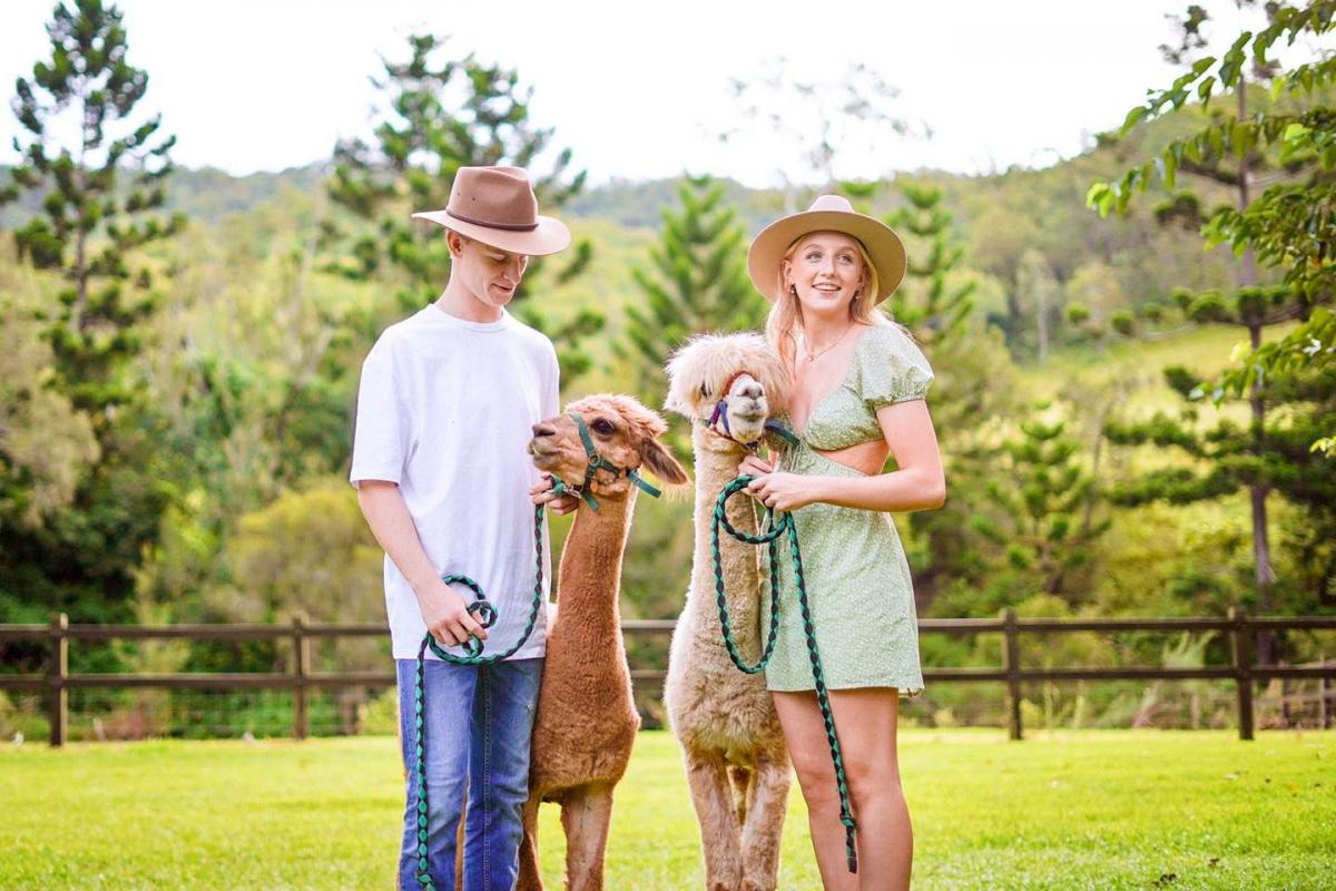 Mountview Alpaca Farm (image supplied)