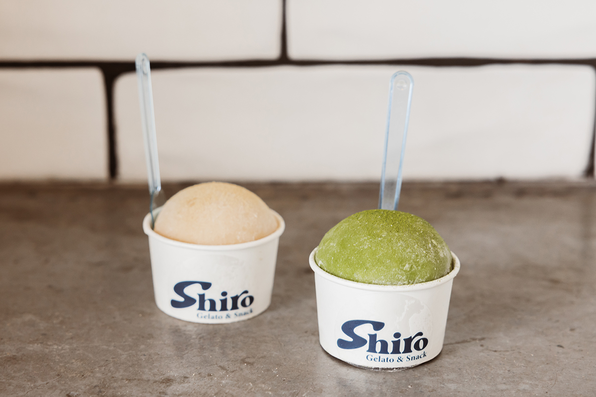 Gelato at Shiro Gelato & Snack, Southport (Image: © 2023 Inside Gold Coast)