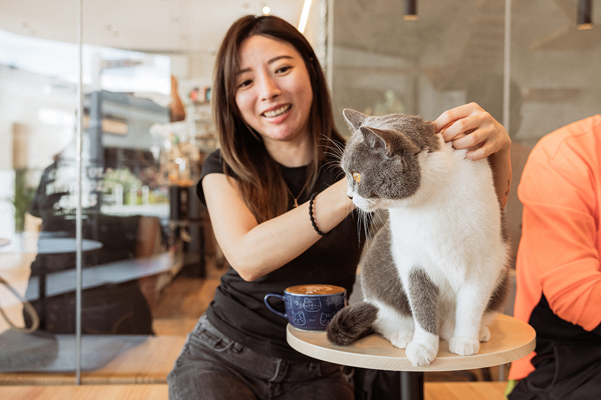 SupermarCat Cat Café, Southport (Image: © 2024 Inside Gold Coast)