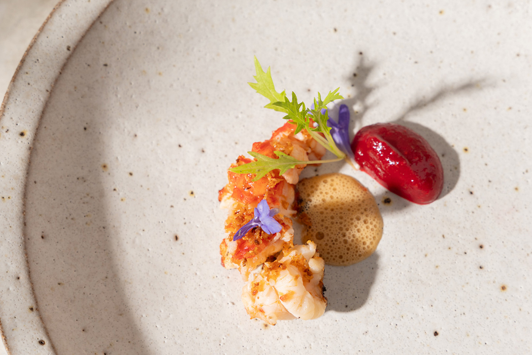 Australian red claw yabby, Davidson plum, miso, galangal, yabby floss.' The Peak Restaurant, Spicers Peak Lodge (image supplied)