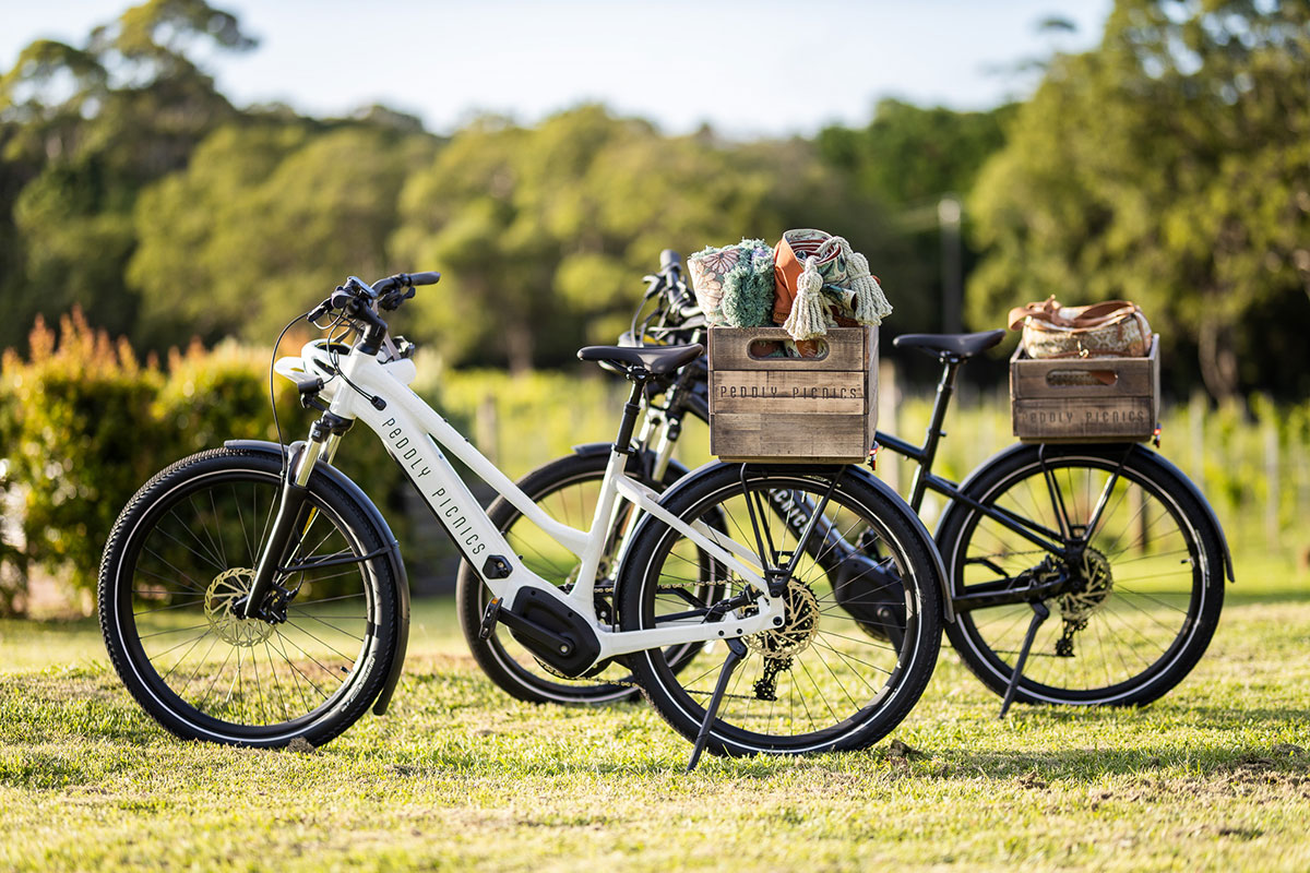 Peddly Picnics, Tamborine Mountain (image supplied)