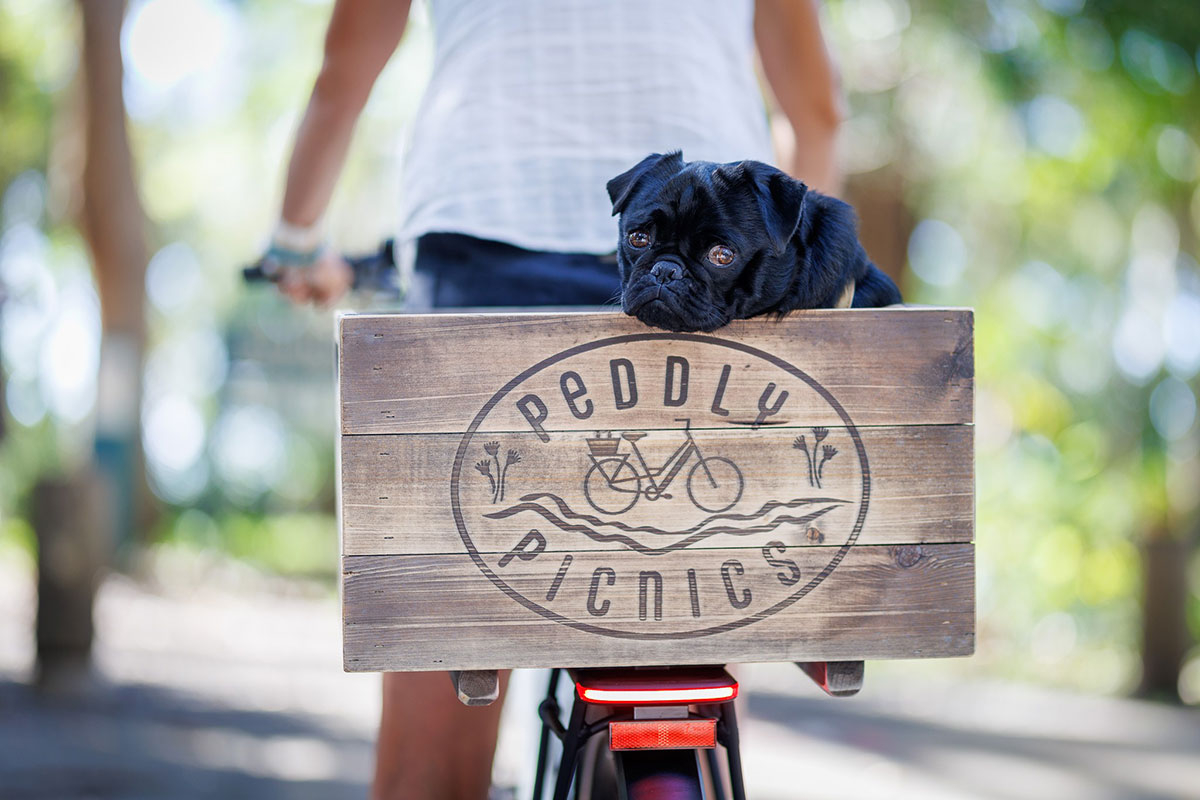 Peddly Picnics, Tamborine Mountain (image supplied)