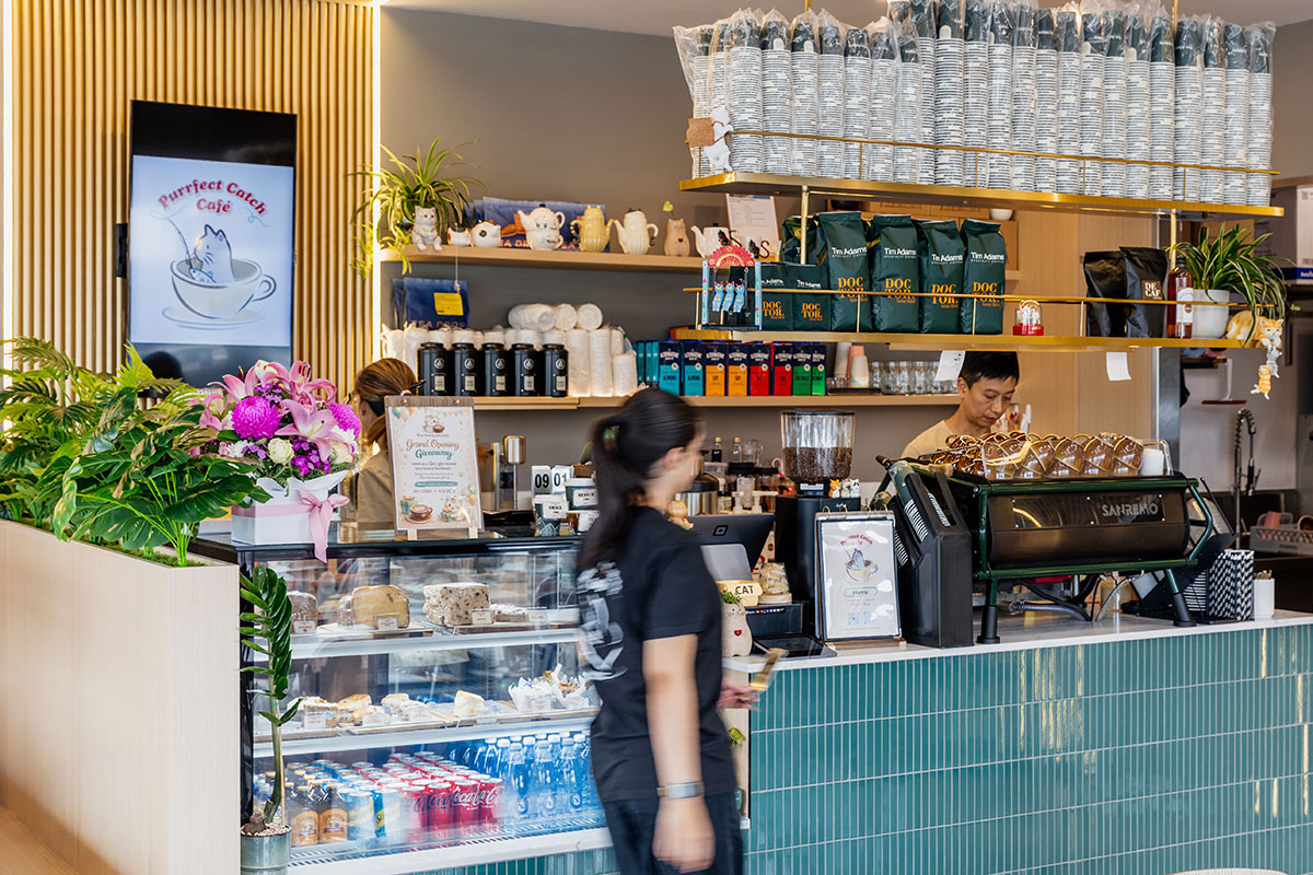 Purrfect Catch Cafe, Hope Island (Image: © 2026 Inside Gold Coast)