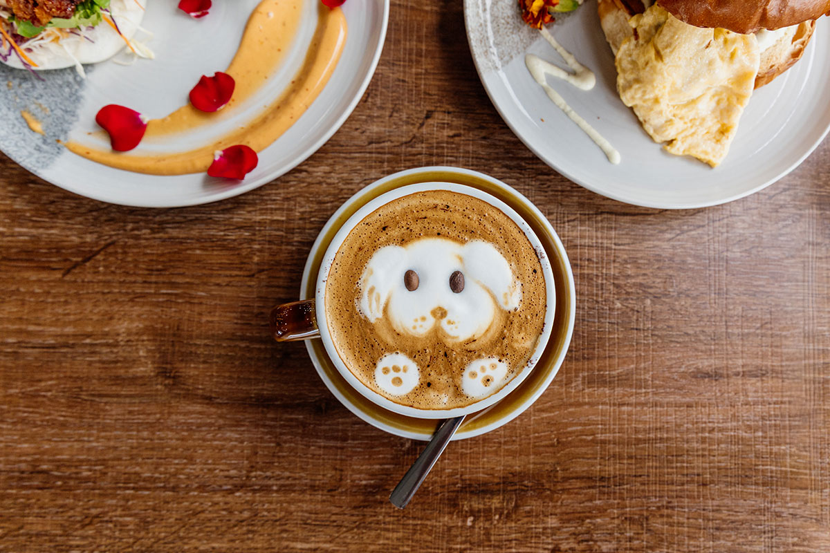 Purrfect Catch Cafe, Hope Island (Image: © 2026 Inside Gold Coast)