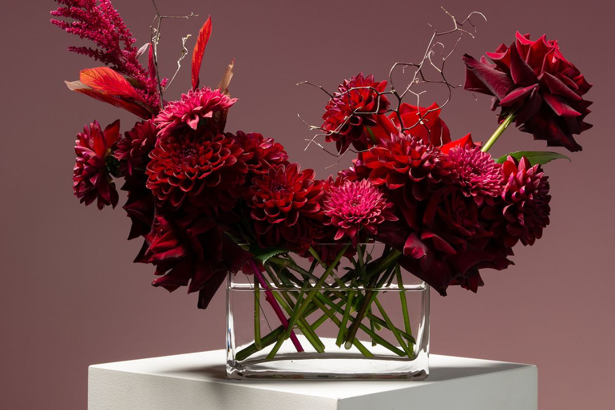 Hansford Flowers, Coombabah (image supplied)