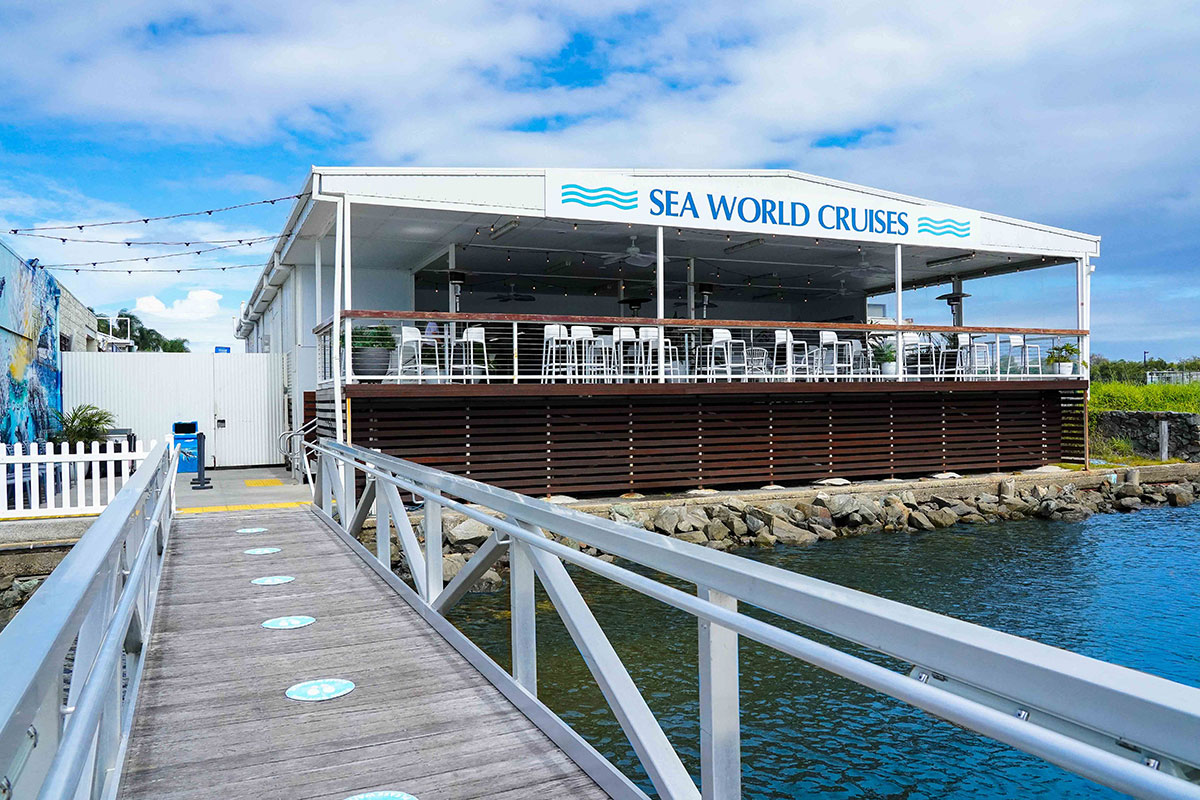 Sea World Whale Watching Cruise, The Tour Collective (image supplied)